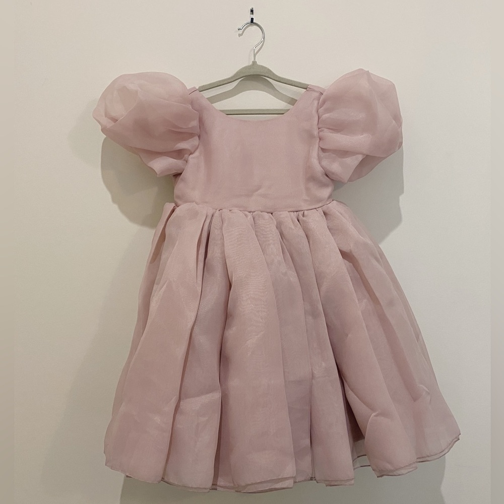 Blush Organza Dress-3T- Worn Once as a Flower Girl- Great Condition
